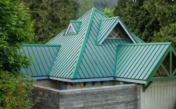 Best Roof Maintenance and Cleaning  in Renton, WA